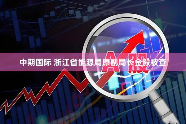 中期国际 浙江省能源局原副局长金毅被查